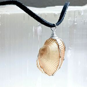 Gold Seashell Pendant Necklace, Shell Jewelry, Suede Necklace 16"